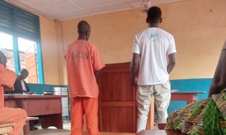 Tribunal de Bégoua : 9 personnes condamnées à des peines allant de trois mois à un an d’emprisonnement