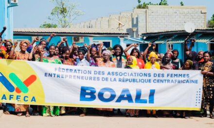 À Boali, les femmes entrepreneures ouvrent la voie au SANEF 3