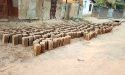 Centrafrique : la fabrication de briques à parpaing, une initiation de prévention des inondations et de gagne-pain