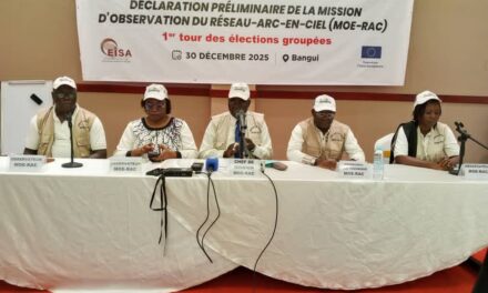 Centrafrique : la mission d’observation du Réseau Arc-en-Ciel salue le déroulement des élections et relève quelques irrégularités