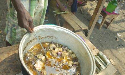 Centrafrique : consommation et vente de viande de chien, un danger pour la disparition des chiens ?