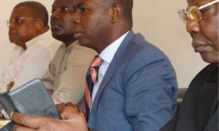 Centrafrique : le BRDC et éternelle inconsistance politique ?