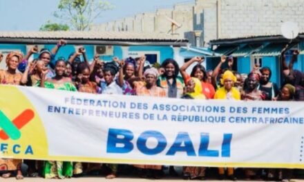 À Boali, les femmes entrepreneurs ouvrent la voie au SANEF 3