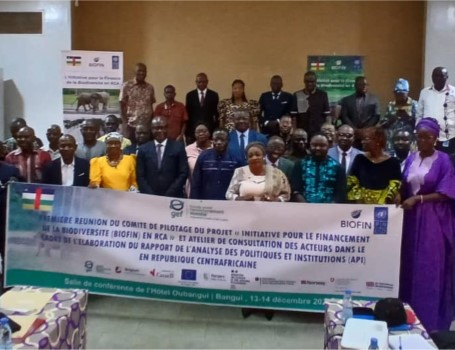 Première réunion du Comité de Pilotage du projet BIOFIN en RCA : un pas décisif pour la biodiversité