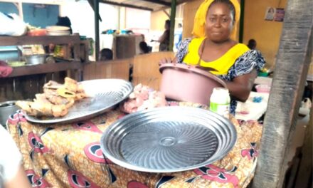 La vente des nourritures non protégées : un danger pour la santé publique en Centrafrique
