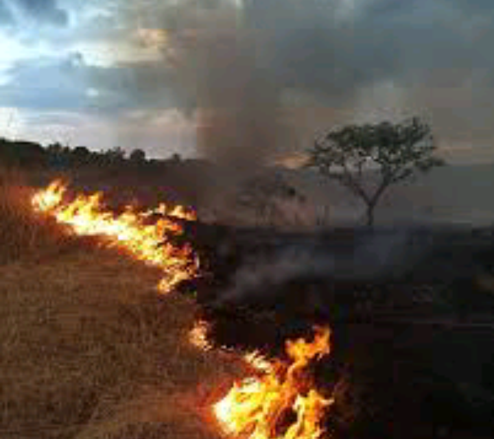 Centrafrique : les feux de brousse constituent une menace persistante pour l’environnement