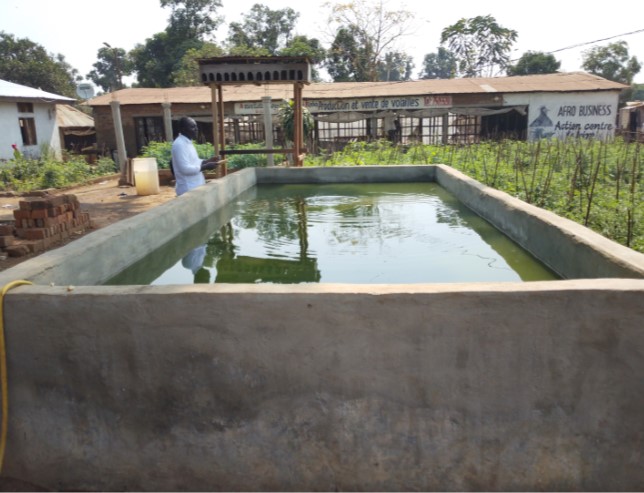 Centrafrique : la pisciculture, une activité oubliée à Bangui