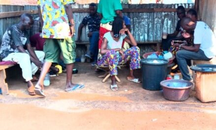 Centrafrique : Vin de palme, la boisson traditionnelle préférée de nombreux Centrafricains