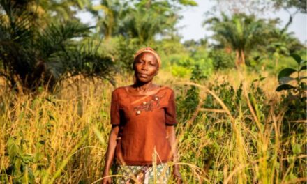 Mbomou : le projet PRUCAC renforce la résilience agricole malgré les défis d’accès