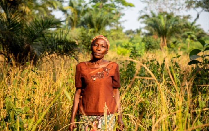 Mbomou : le projet PRUCAC renforce la résilience agricole malgré les défis d’accès