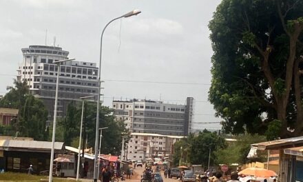 Tribune : La République Centrafricaine au prisme de la triple performance : pour une gouvernance de l’impact durable