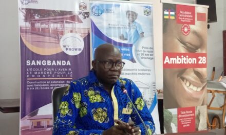 Centrafrique : le ministère de l’Économie va se doter d’une plateforme numérique le 23 février prochain