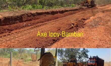 Centrafrique : L’axe Bambari-Ippy, une route renaît grâce aux travaux des instructeurs russes