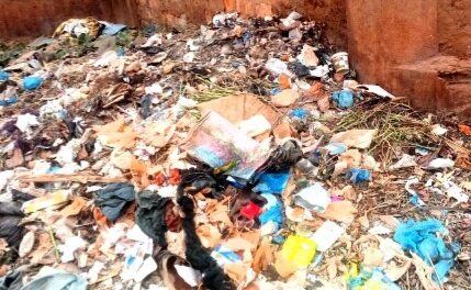 Centrafrique : la prolifération des moustiques, un danger pour la santé publique