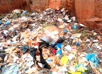 Centrafrique : la prolifération des moustiques, un danger pour la santé publique