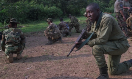RCA : Une vaste opération militaire renforce le contrôle de l’État dans la Haute-Kotto