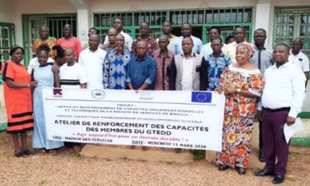 Le GTEDD renforce les capacités de ses membres sur les dangers liés à la déforestation en RCA