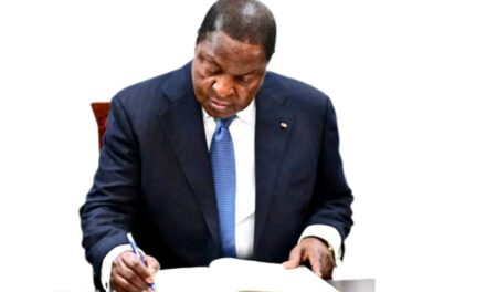 Centrafrique : à l’aube de la 7e République, un gouvernement des technocrates s’impose au président Touadera