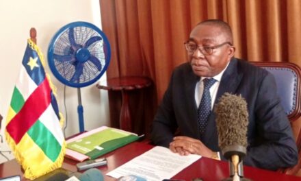 Le porte-parole du gouvernement présente les travaux engagés pour l’investiture du Président Faustin-Archange Touadéra