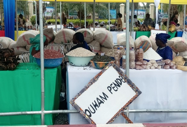 SANEF 3 : les groupements agricoles, « Ndjo-bê » de Bocaranga et les femmes dynamiques de la Vakaga, exposent leurs produits au Ledger Plaza