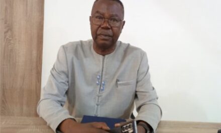 Centrafrique : la digitalisation des institutions publiques au cœur des réformes de la 7ᵉRépublique, selon Albert Yaloké Mokpeme