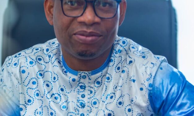 Tribune : Diplomatie sur Zoom: une imprudence numérique des dirigeants ouest-africains?