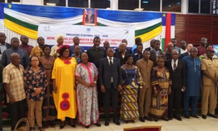 Centrafrique : tenue de la 8e journée d’information sur les préparatifs des élections groupées