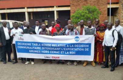 Centrafrique : le CIEDD sensibilise sur l’interdiction prochaine d’exportation du bois en grumes hors CEMAC et RDC