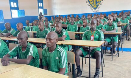 RCA : 95 ex-combattants deviennent gardiens de l’environnement centrafricain