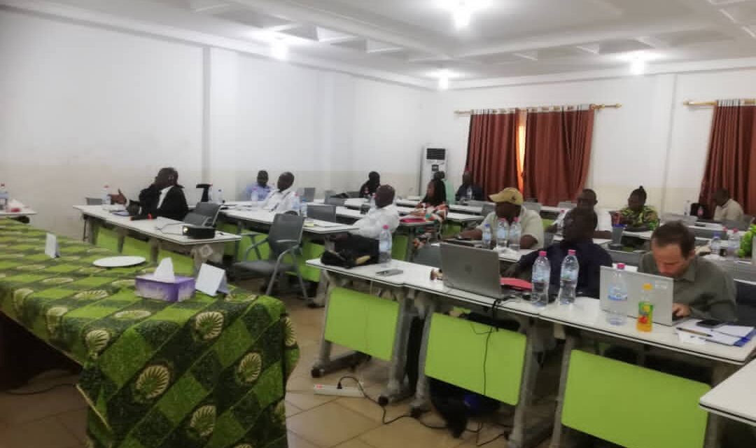 Centrafrique : avec l’appui de la FAO, le projet TRI dresse le bilan de ses réalisations et prépare sa phase de sortie