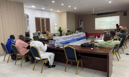 Centrafrique : un Observatoire national des minorités en gestation pour une protection renforcée
