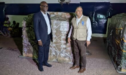Centrafrique : l’ANE réceptionne neuf tonnes de kits électoraux offerts par le PNUD pour le second tour de 2026