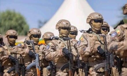 Attaque au Mali : Crise malienne ou crise avec l&rsquo;Algérie.