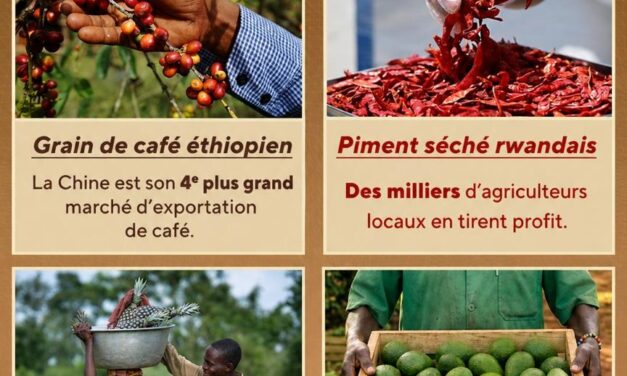 ZéroTaxe Chine–Afrique : une opportunité historique pour la République centrafricaine