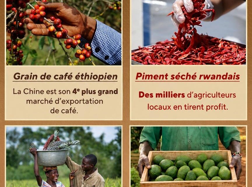 ZéroTaxe Chine–Afrique : une opportunité historique pour la République centrafricaine
