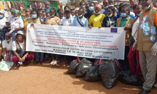 Centrafrique : une campagne du GTEDD-MDS-CA pour freiner la pollution plastique à Bangui