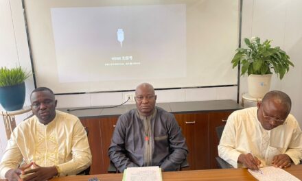 RCA : Quand la plateforme Galaxie Panafricaine de Kossimatchi, s’élève contre la désinformation et recadre Dologuélé