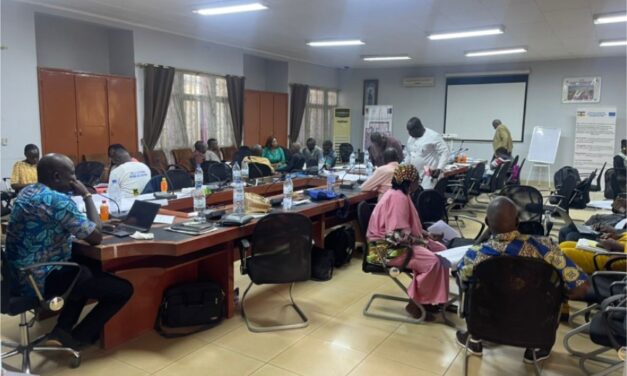 Centrafrique : la Maison de service se dote d’un plan de communication