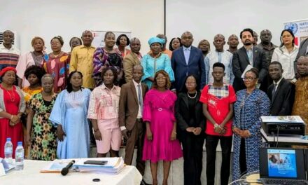 Centrafrique : la CEA renforce les capacités des PME pour faciliter leur accès aux financements