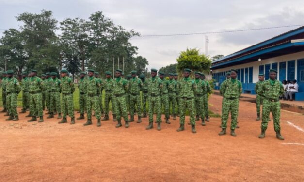 Centrafrique : 100 Ex-Combattants deviennent Gardiens de la Nature