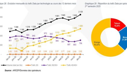 Avec 1,49 million d’internautes et 3,64 millions d’abonnés mobiles, la RCA franchit un cap historique