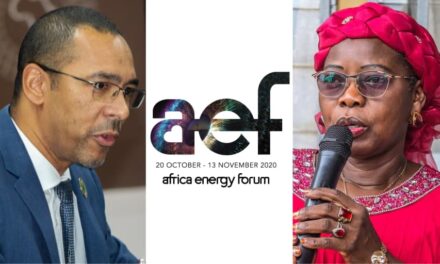 Cape Town : Le duo ministériel centrafricain « Edwige Opportune Pouninguinza et Marc Mandaba » à l&rsquo;assaut des investisseurs de l&rsquo;Africa Energy Forum (AEF) 2026