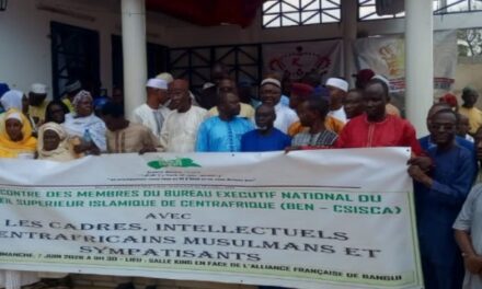 Centrafrique : le CSISCA fait le bilan de ses six premiers mois d&rsquo;activités