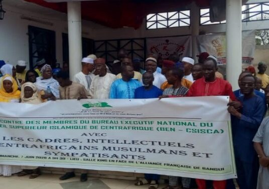 Centrafrique : le CSISCA fait le bilan de ses six premiers mois d&rsquo;activités