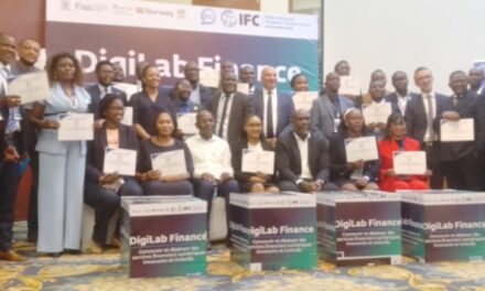 DigiLab : la Centrafrique trace la voie d’une finance digitale