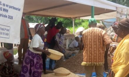 Centrafrique : 230 producteurs agricoles reçoivent des semences pour renforcer leur production