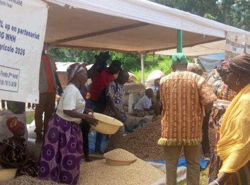 Centrafrique : 230 producteurs agricoles reçoivent des semences pour renforcer leur production