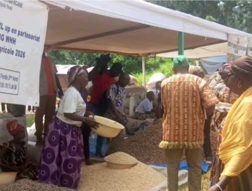 Centrafrique : 230 producteurs agricoles reçoivent des semences pour renforcer leur production