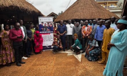 Centrafrique : 50 700 bénéficiaires du projet I-COMPETE formés dans le cadre de l’apprentissage professionnel