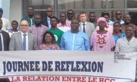 Centrafrique : le HCC ouvre une journée de réflexion à l’intention des nouveaux médias